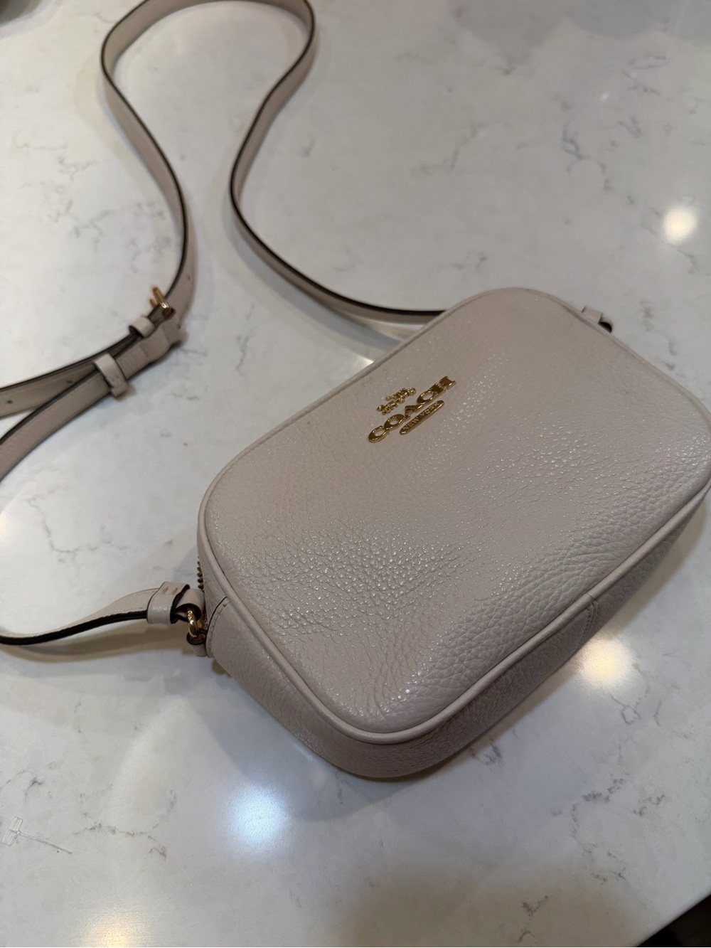 Coach Chalk Pebbled Leather Crossbody Camera Bag
